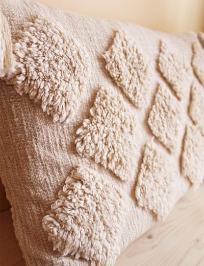 Boho pagavėlių nuoma